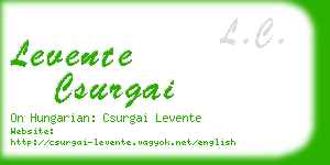 levente csurgai business card
